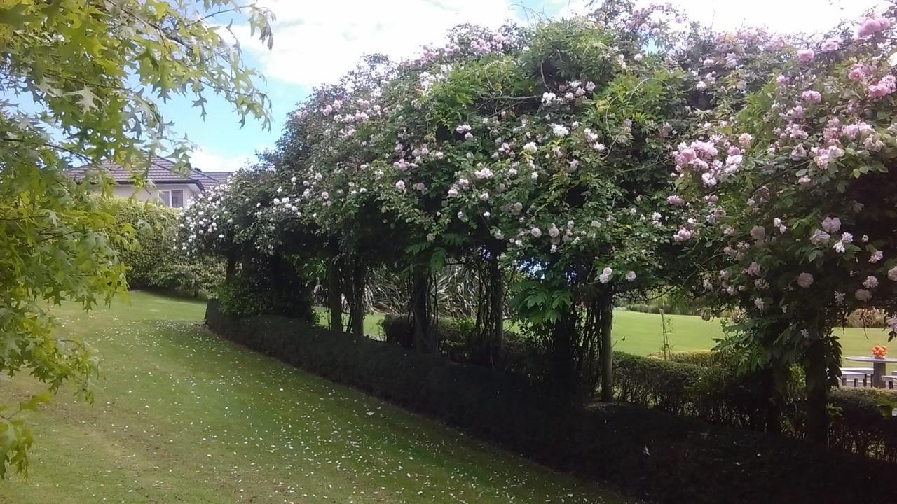 Shurinji Whanganui Bagian luar foto